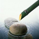 Group logo of Meditation and Health